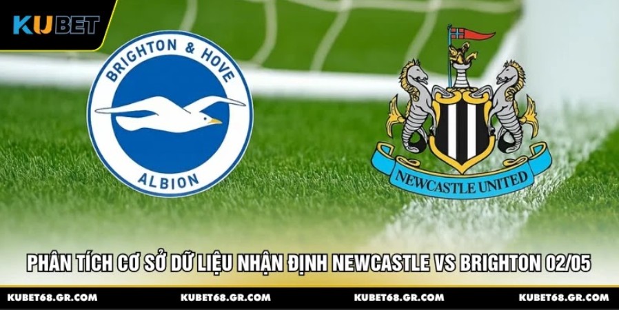 Phân tích cơ sở dữ liệu nhận định Newcastle vs Brighton 02/05