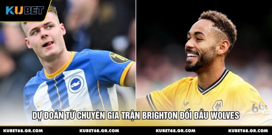 Dự đoán từ chuyên gia trận Brighton đối đầu Wolves