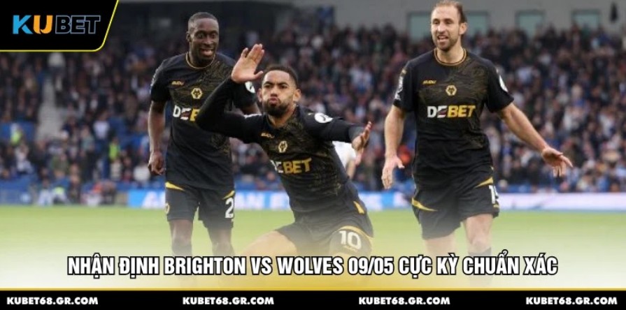 Nhận Định Brighton Vs Wolves 09/05 Cực Kỳ Chuẩn Xác