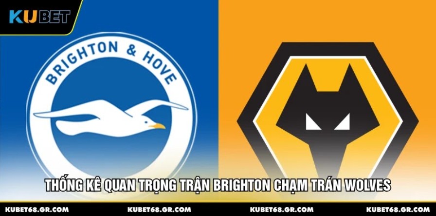 Thống kê quan trọng trận Brighton chạm trán Wolves